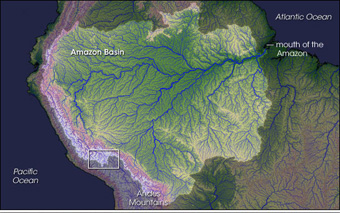 Satellite image of mouths of Amazon River in Brazil, with Marajó Island in the center,: and the cities (in red) of Macapá (left) and Belém (right). Text courtesy of Wikipedia. Image courtesy of NASA.